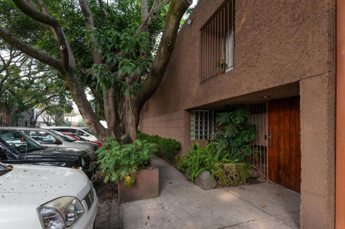 Suite 1-A Monasterio Garden House Welcome To San Angel Mexico City Exterior photo