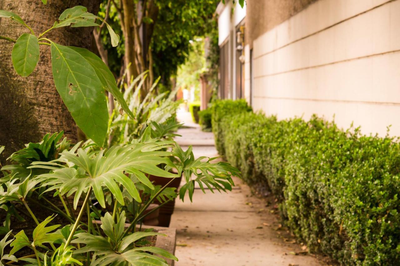 Suite 1-A Monasterio Garden House Welcome To San Angel Mexico City Exterior photo