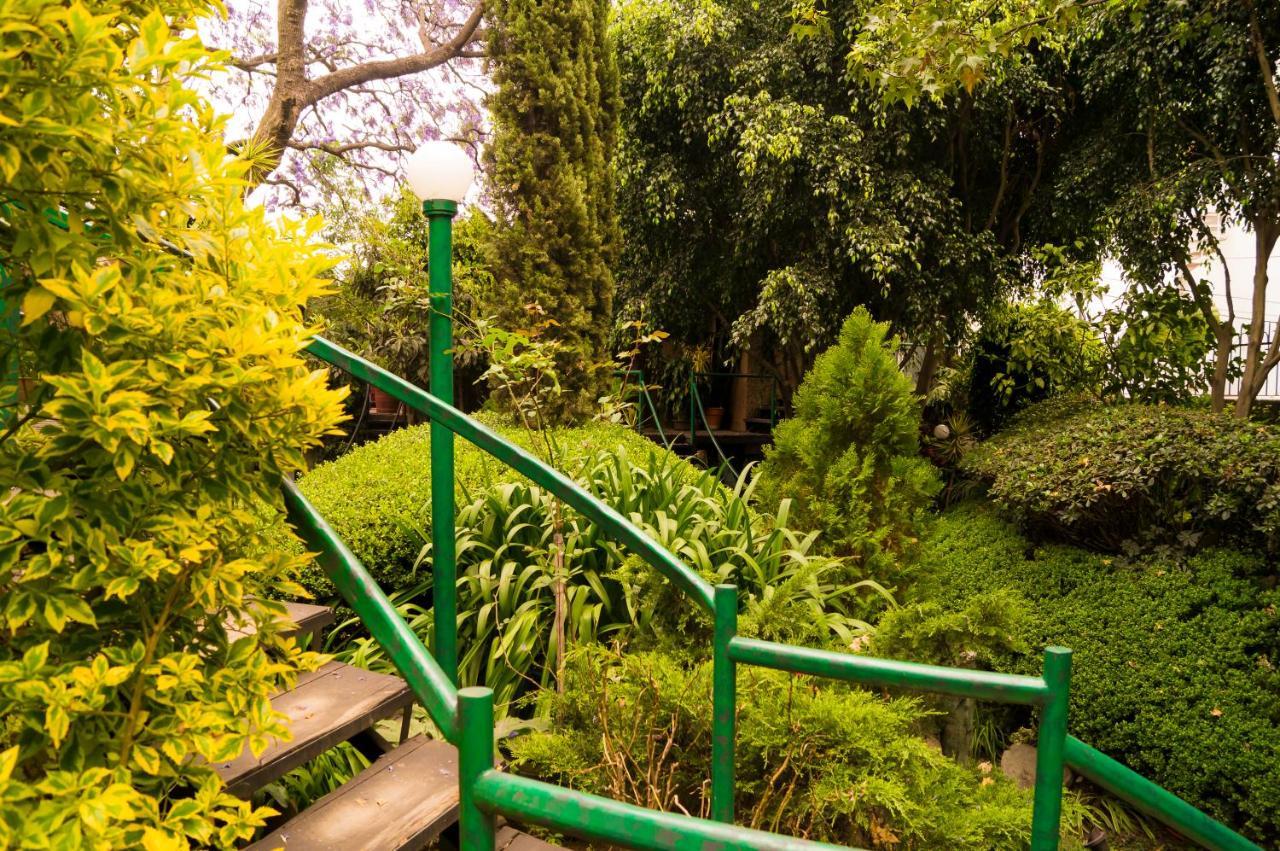 Suite 1-A Monasterio Garden House Welcome To San Angel Mexico City Exterior photo