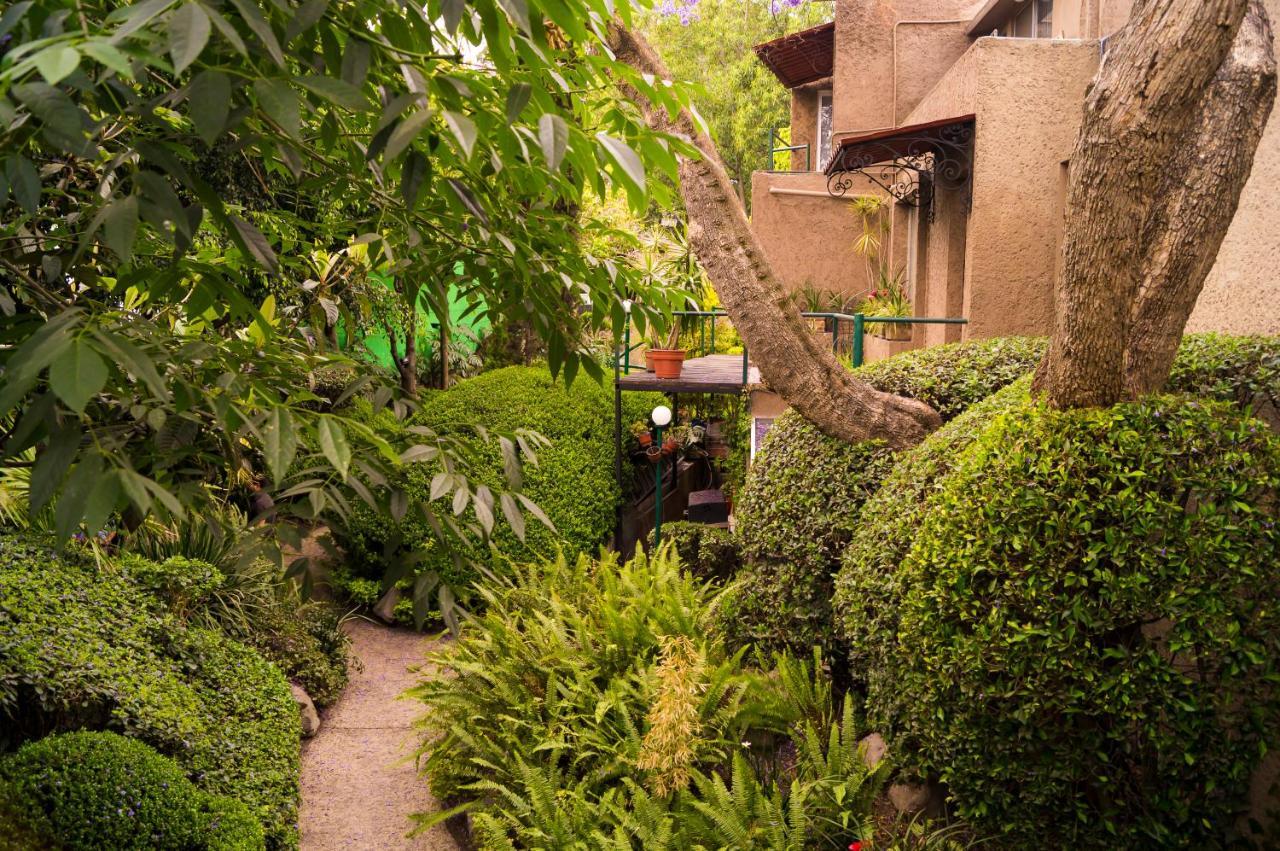Suite 1-A Monasterio Garden House Welcome To San Angel Mexico City Exterior photo