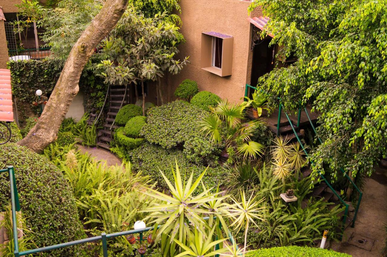 Suite 1-A Monasterio Garden House Welcome To San Angel Mexico City Exterior photo