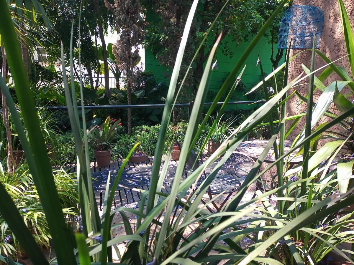Suite 1-A Monasterio Garden House Welcome To San Angel Mexico City Exterior photo