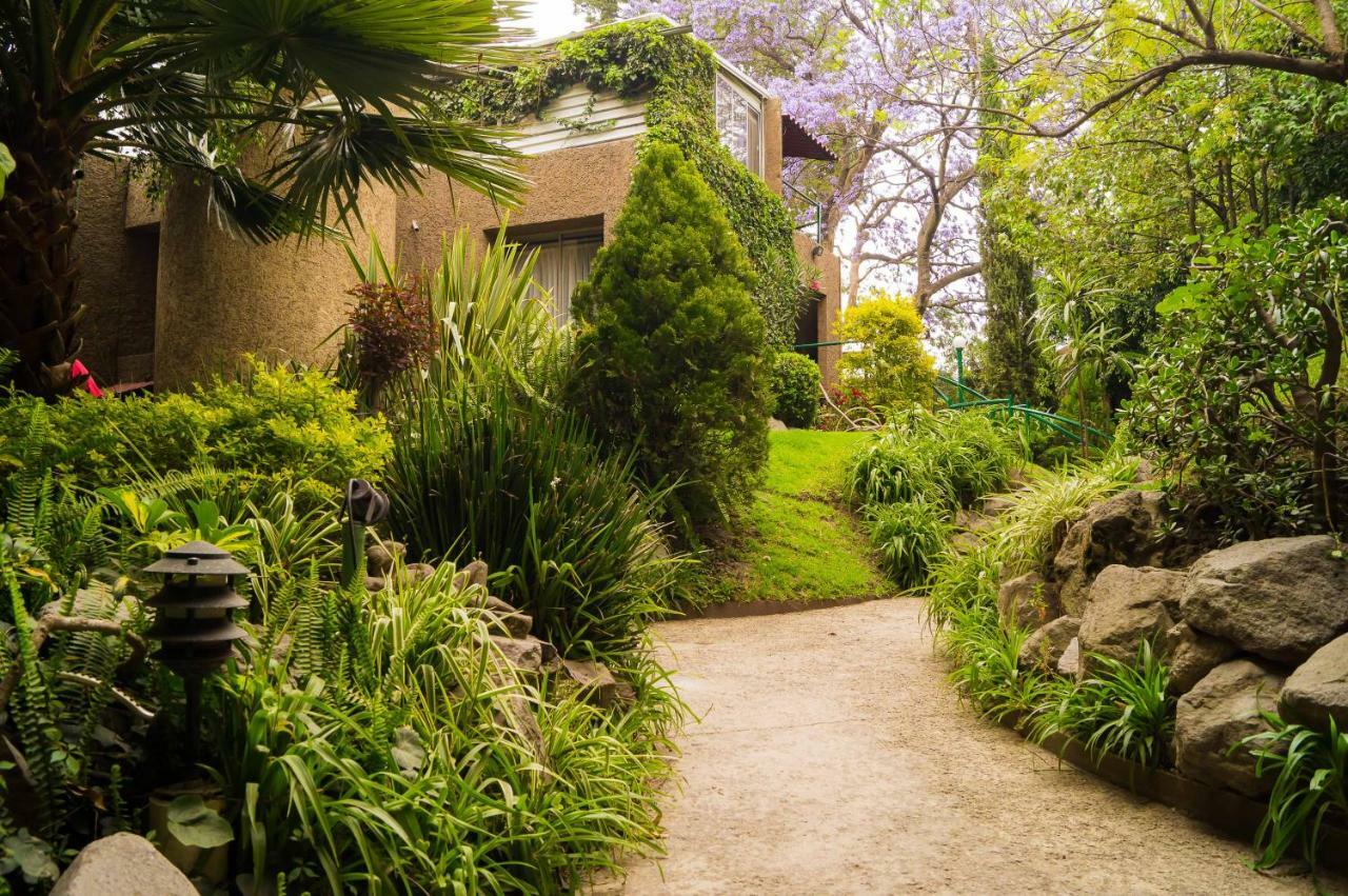 Suite 1-A Monasterio Garden House Welcome To San Angel Mexico City Exterior photo
