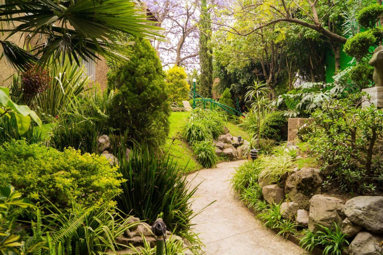 Suite 1-A Monasterio Garden House Welcome To San Angel Mexico City Exterior photo
